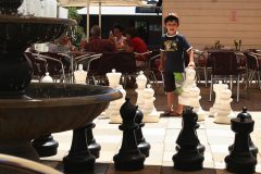 Fountain at the Courtyard Cafe Mogo